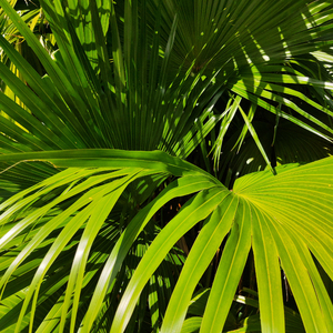 乡下两老妇做爰XXXⅩ
